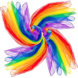 AIVIAI Juggling Scarves for Kids Play 24 Pcs Dance Music Scarfs Colorful Silk Actives Scarves Rhythm Band Scarves for Toddlers Children Movement(6 Colors) AIVIAI Juggling Scarves for Kids Play 24 Pcs Dance Music Scarfs Colorful Silk Actives Scarves Rhythm Band Scarves for Toddlers Children Movement(6 Colors)